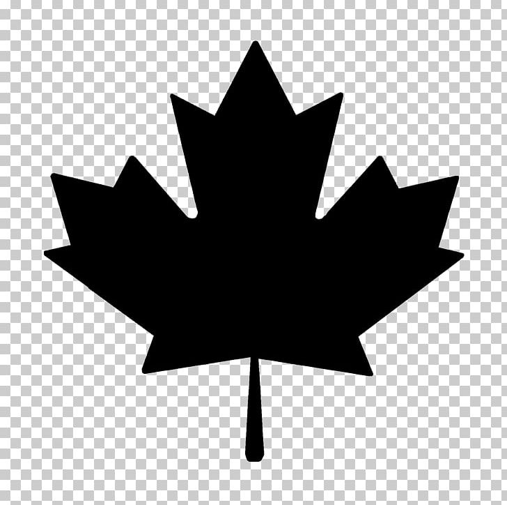 Maple Leaf Sugar Maple PNG, Clipart, Autumn Leaf Color, Black And White, Clip Art, Computer Icons, Flag Of Canada Free PNG Download