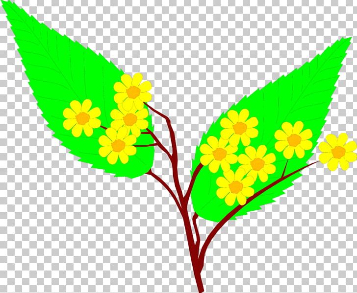 Yellow Flower PNG, Clipart, Color, Drawing, Flora, Flower, Flowering Plant Free PNG Download