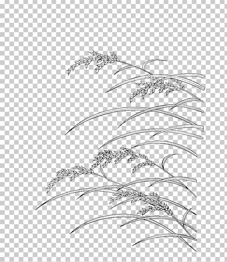 Fried Rice Japanese Cuisine Rice Wine PNG, Clipart, Angle, Artwork, Basmati, Branch, Cereal Free PNG Download
