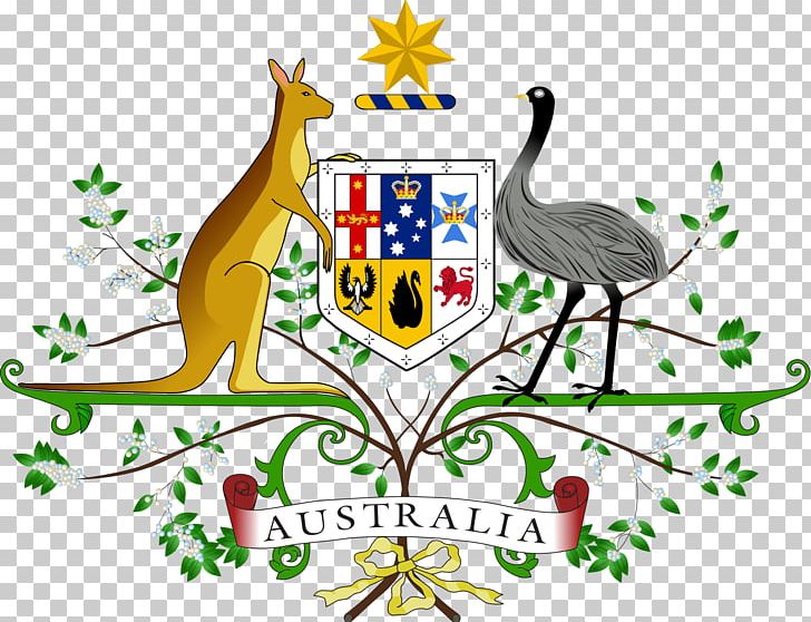 Coat Of Arms Of Australia Star National Symbols Of Australia PNG, Clipart, Advance Australia Fair, Area, Art, Artwork, Australia Free PNG Download