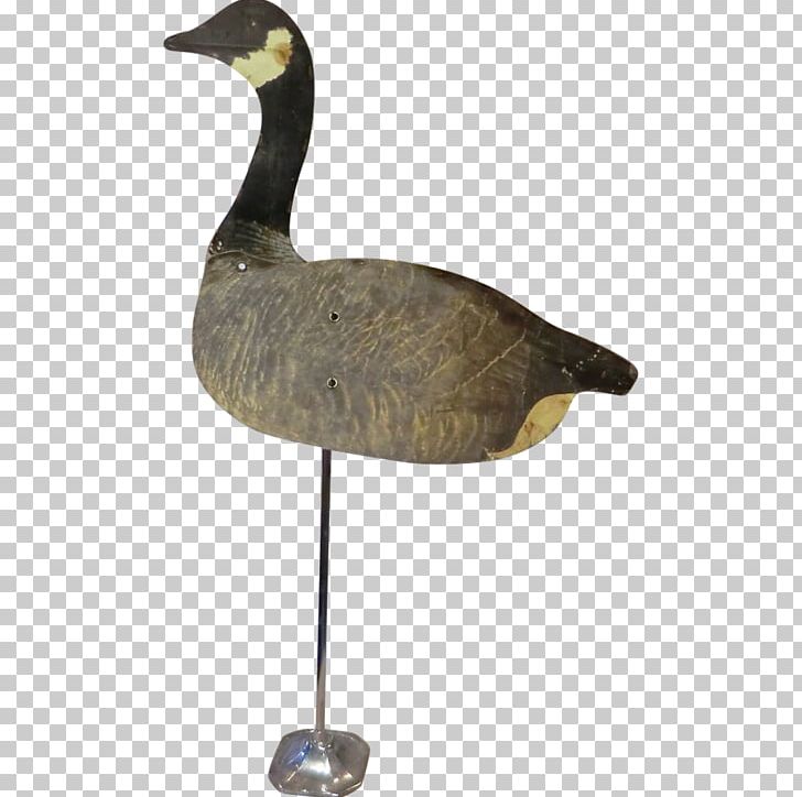Goose Duck Water Bird Anatidae PNG, Clipart, Anatidae, Animals, Beak, Bird, Cygnini Free PNG Download