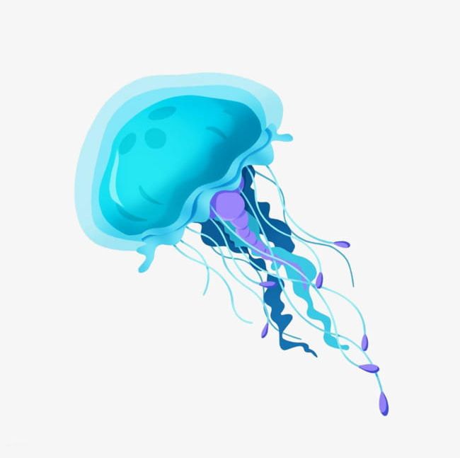 Blue Jellyfish PNG, Clipart, Animal, Blue, Blue Clipart, Jellyfish, Jellyfish Clipart Free PNG Download