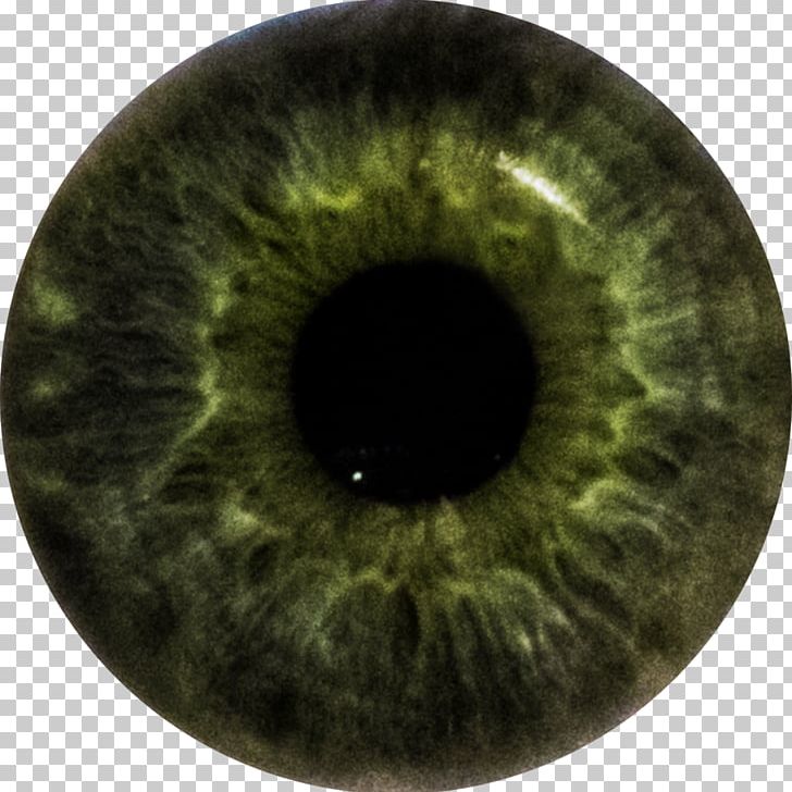 Iris Eye Color Human Eye PNG, Clipart, Biological Pigment, Blue, Circle, Closeup, Color Free PNG Download