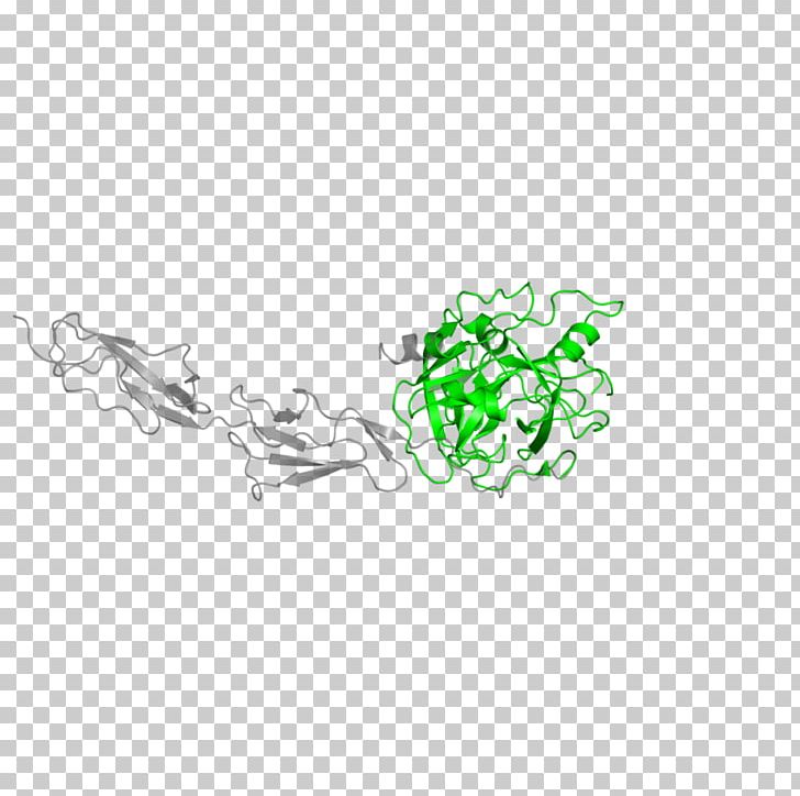 MASP2 Mannose-binding Protein-associated Serine Protease Mannan-binding Lectin MASP1 PNG, Clipart, 2 A, Binding, Caption, Circle, Div Free PNG Download