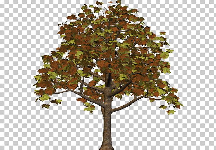 Tree PNG, Clipart, Art, Branch, Download, Drawing, Houseplant Free PNG Download