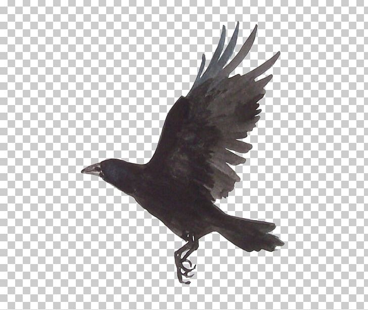 Japanese Painting Japanese Painting Drawing Common Raven PNG, Clipart, American Crow, Art, Beak, Bird, Black And White Free PNG Download