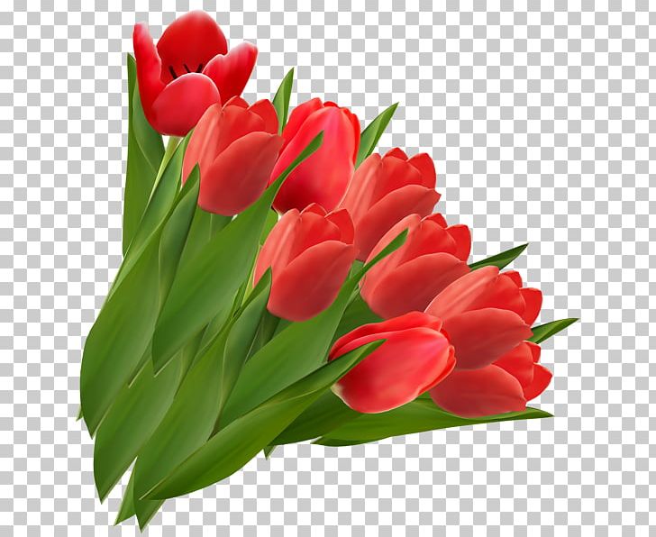 Tulip Flower Red PNG, Clipart, Blog, Cut Flowers, Encapsulated Postscript, Floristry, Flower Free PNG Download