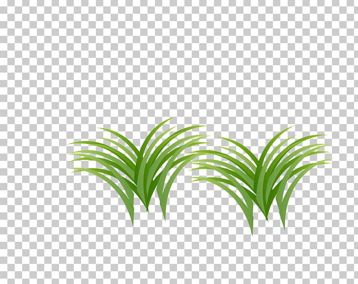 Grass PNG, Clipart, Angle, Artificial Grass, Cartoon Grass, Creative Grass, Designer Free PNG Download