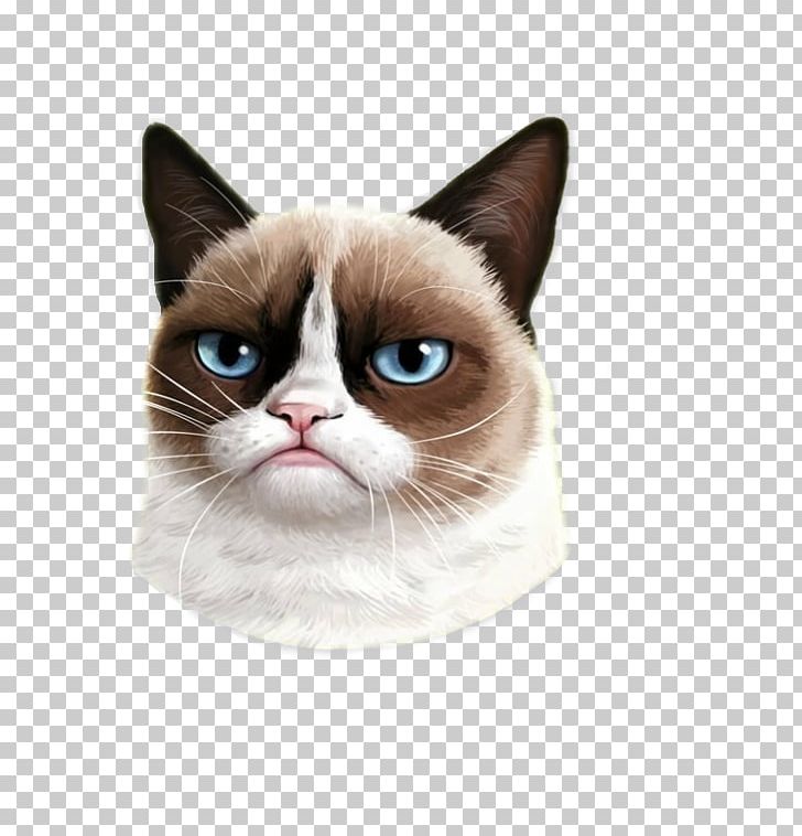 Grumpy Cat Titleist Golf Clubs PNG, Clipart, America, Animals, Asian, Carnivoran, Cat Free PNG Download