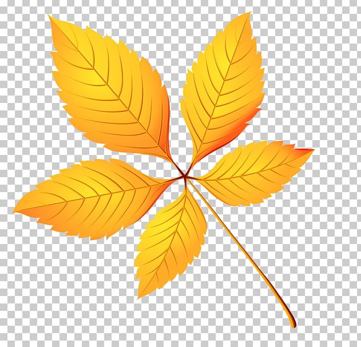 Autumn Leaf Color PNG, Clipart, Autumn, Autumn Leaf Color, Color, Drawing, Leaf Free PNG Download
