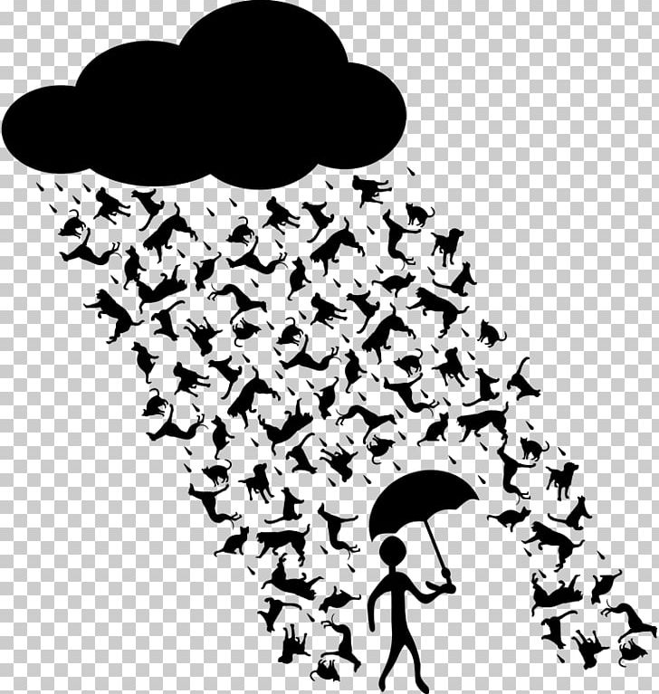 Cat Australian Shepherd Rain PNG, Clipart, Animals, Australian Shepherd, Black, Black And White, Branch Free PNG Download