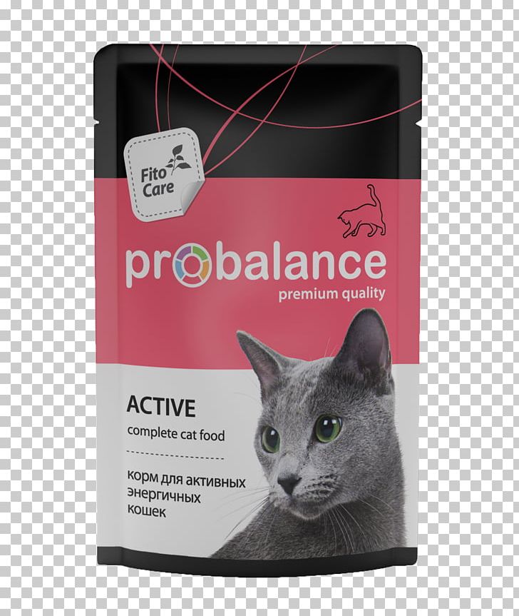 Cat Food Dog Kitten Veterinarian PNG, Clipart,  Free PNG Download
