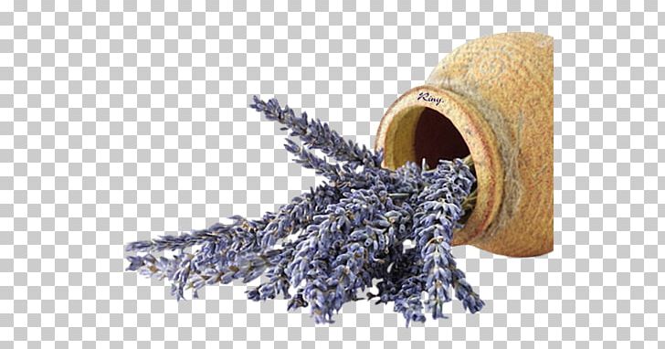 English Lavender Flower Jar PNG, Clipart, Color, Commodity, Earl Grey Tea, English Lavender, Fleur Free PNG Download