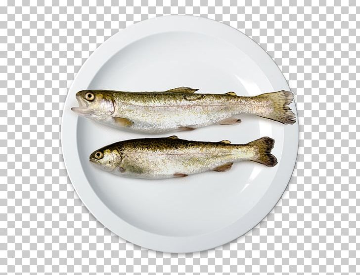 Sardine Salted Fish Capelin Oily Fish PNG, Clipart, Animals, Capelin, Dishware, Fish, Forage Fish Free PNG Download