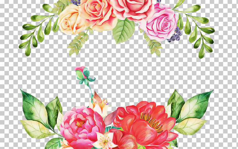 Garden Roses PNG, Clipart, Chinese Peony, Cut Flowers, Floral Design, Flower, Garden Roses Free PNG Download