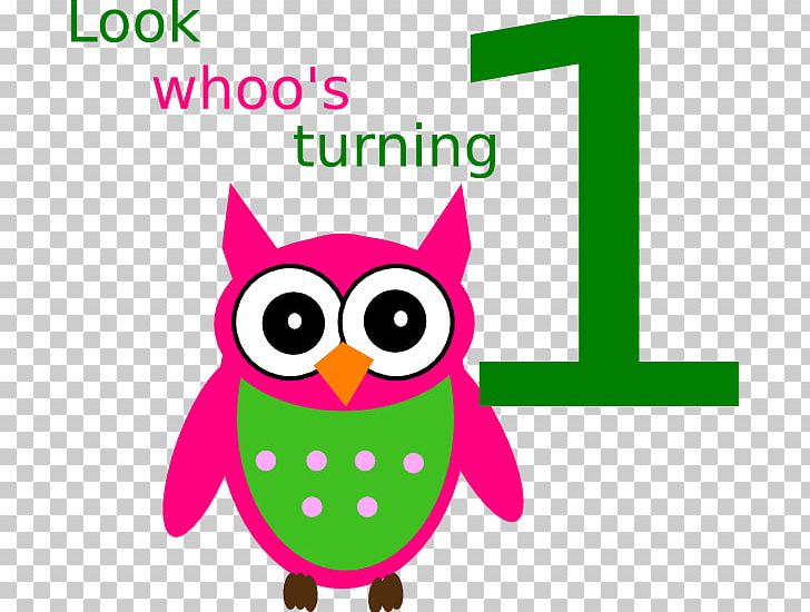 Baby Owls Drawing PNG, Clipart, Animals, Area, Art, Artwork, Baby Owls Free PNG Download