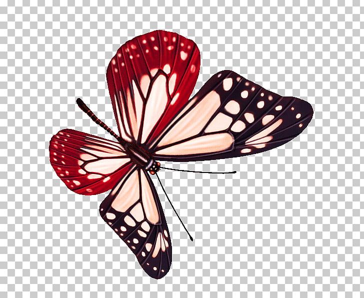 Butterfly PNG, Clipart, Animation, Arthropod, Brush Footed Butterfly, Butterflies, Butterfly Group Free PNG Download