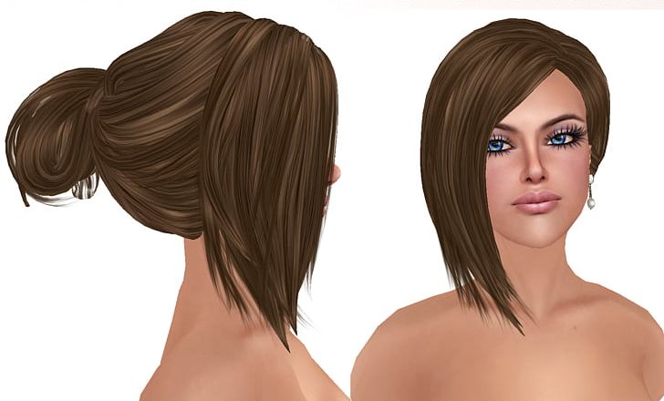 Hairstyle Brown Hair Long Hair Hair Coloring PNG, Clipart, Bangs, Black Hair, Blond, Bob Cut, Brown Hair Free PNG Download