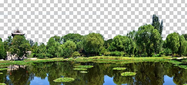 Natural Landscape Nature PNG, Clipart, Attractions, Bank, Bayou, Biome, Botanical Garden Free PNG Download