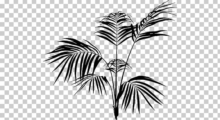 Palm Trees Leaf Palm Branch Plants PNG, Clipart, Arecales, Bird And Fish, Black And White, Branch, Decal Free PNG Download