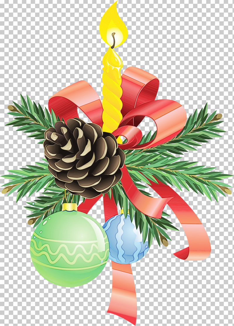 Christmas Ornament PNG, Clipart, Christmas Ornament, Colorado Spruce, Conifer, Conifer Cone, Holiday Ornament Free PNG Download