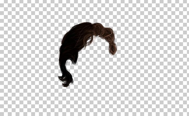 Hairstyle Lace Wig Stock PNG, Clipart, Art, Black, Black And White, Brown Hair, Color Free PNG Download