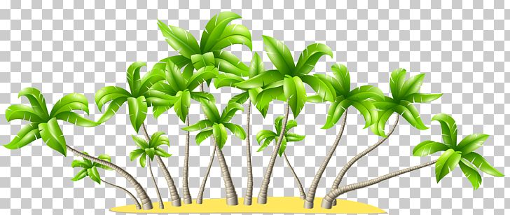 Leaf Flower Plant Stem Pant-hoot Tree PNG, Clipart, Arecaceae, Beach, Clipart, Coconut, Computer Icons Free PNG Download