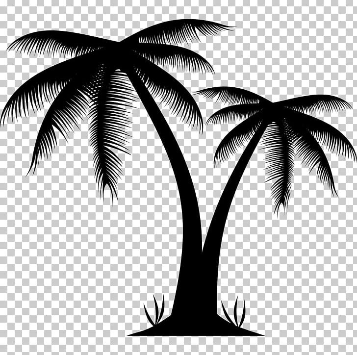 Arecaceae Tree Png Clipart Arecales Beach Beach Party Beach Vector Black And White Free Png Download