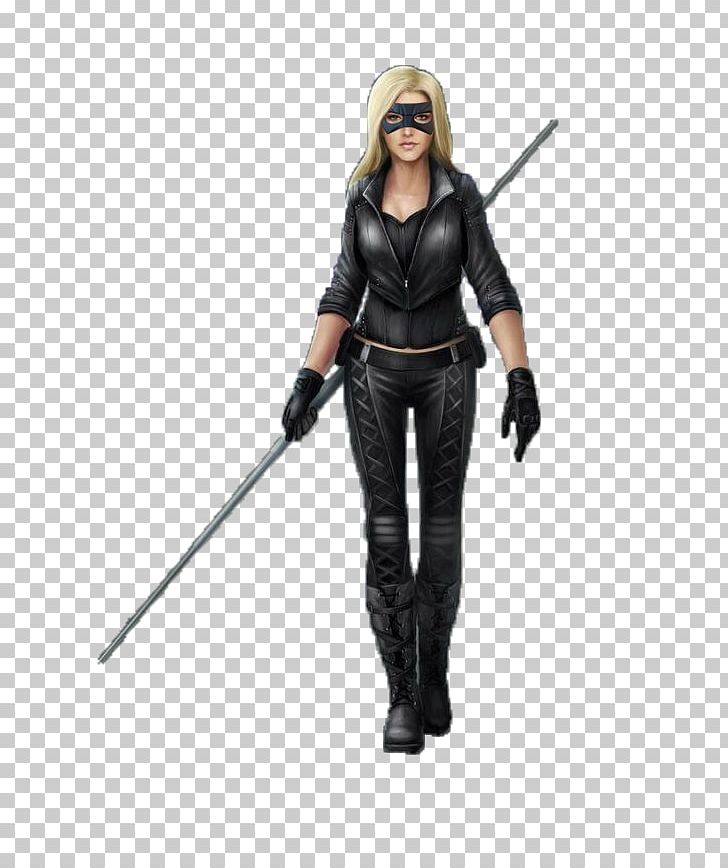 Black Canary Batman Hot Toys Limited Action & Toy Figures Model Figure PNG, Clipart, Action Figure, Action Toy Figures, Art, Art Cartoon, Batman Free PNG Download