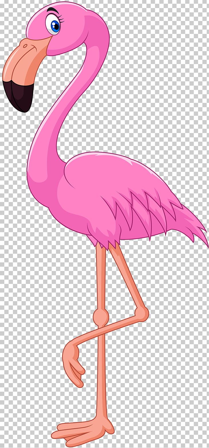 Cartoon Flamingo Bird Illustration PNG, Clipart, Animals, Beak, Bird, Cartoon, Ciconiiformes Free PNG Download