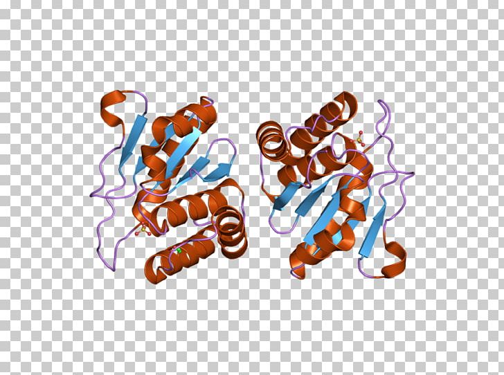 Dual-specificity Phosphatase DUSP10 Protein Phosphatase MAPK Phosphatase PNG, Clipart, 1012 Wx, Art, Cdc25, Computer Wallpaper, Crystal Free PNG Download