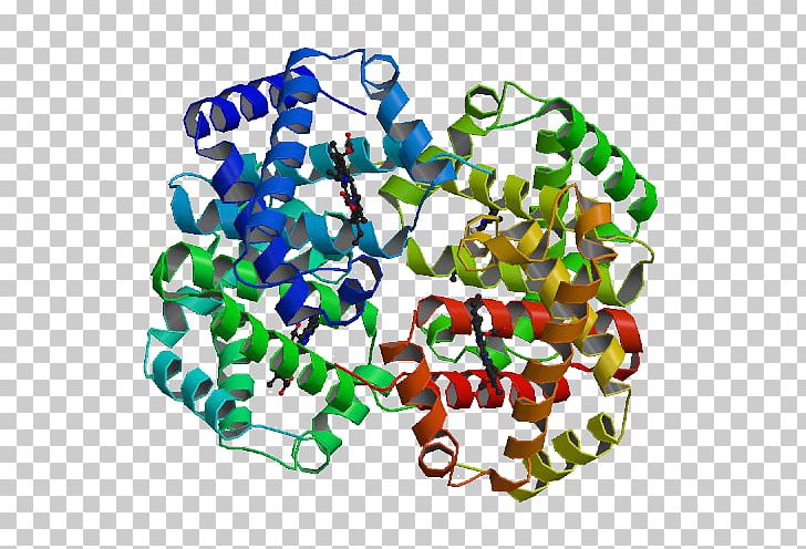 Protein Structure Cell Crystal Structure Hemoglobin PNG, Clipart, Biology, Body Jewelry, Cell, Chemical Reaction, Crystal Structure Free PNG Download
