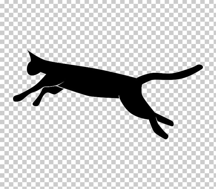 Siamese Cat Pet European Shorthair Kitten Dog PNG, Clipart, Animals, Black, Black And White, Black Cat, Carnivoran Free PNG Download