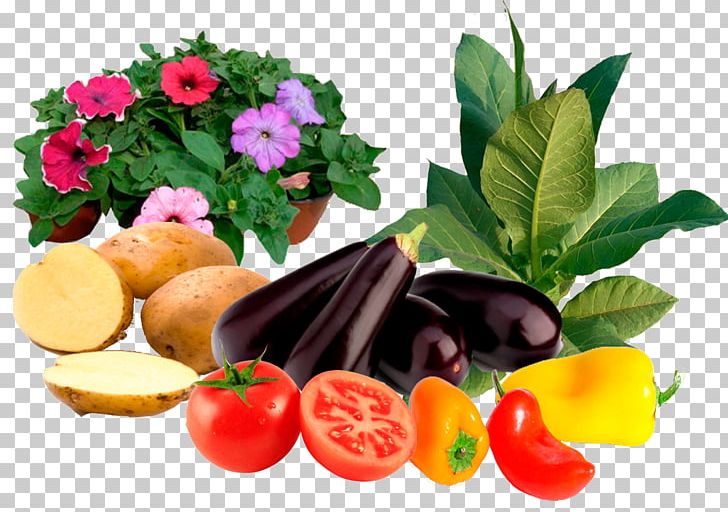 Vegetable Vegetarian Cuisine Diet Food Garnish PNG, Clipart, Cuisine, Diet, Diet Food, Emagister, Food Free PNG Download