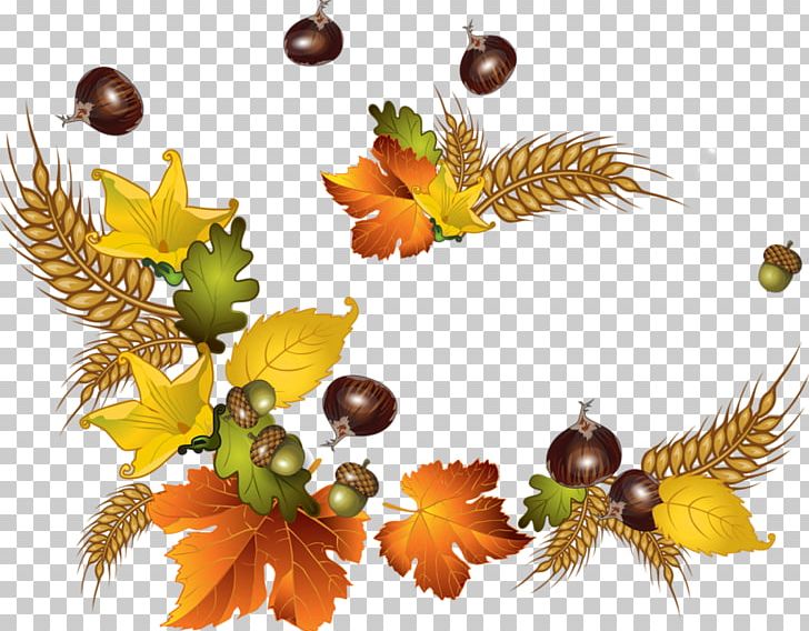 Autumn Paper Frames PNG, Clipart, Autumn, Desktop Wallpaper, Food, Fruit, Leaf Free PNG Download