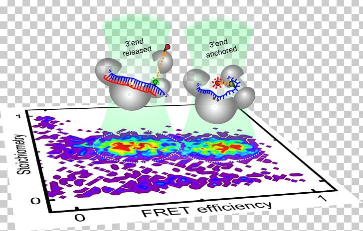 Biochemistry Molecular Biology Fluorescence Microbiology Molecule PNG, Clipart, Biochemistry, Biology, Biomolecule, Diagram, Faculty Free PNG Download