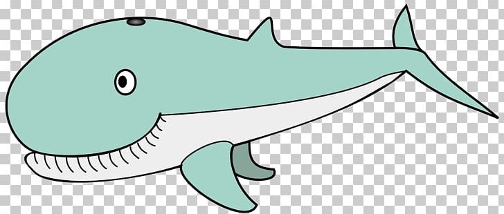 Humpback Whale Killer Whale Drawing PNG, Clipart, Animals, Blue Whale, Cartilaginous Fish, Cartoon, Cetacea Free PNG Download