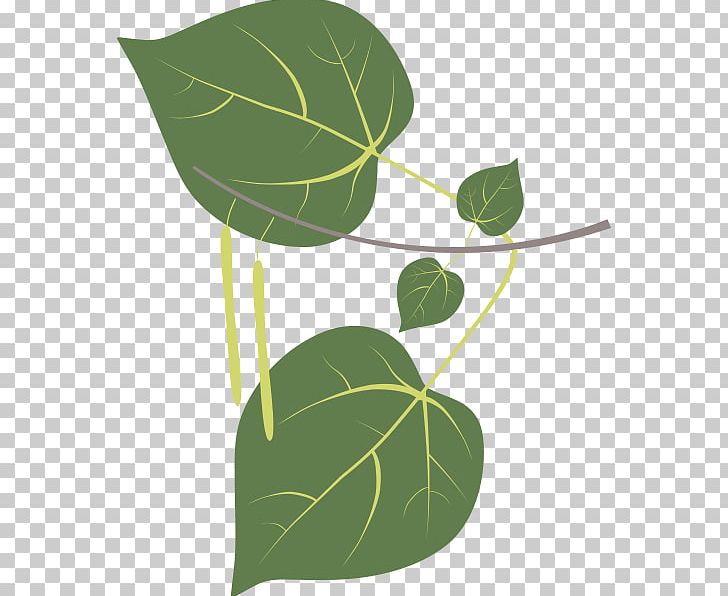 Leaf Sweetgum Plant Stem Tree PNG, Clipart, Birch, Branch, Bur Oak, Flora, Green Free PNG Download