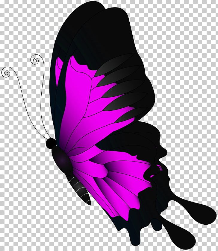 Butterfly PNG, Clipart, Butterflies, Butterflies And Moths, Butterfly, Clip Art, Clipart Free PNG Download