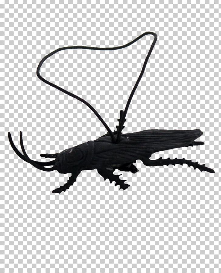 Cockroach April Fools Day Hoax PNG, Clipart, Animals, April, April Fools Day, Background, Black Free PNG Download