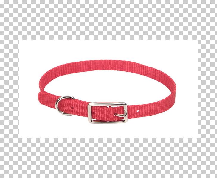 Dog Collar Dog Harness Pet PNG, Clipart, Animals, Belt, Belt Buckle, Belt Buckles, Buckle Free PNG Download