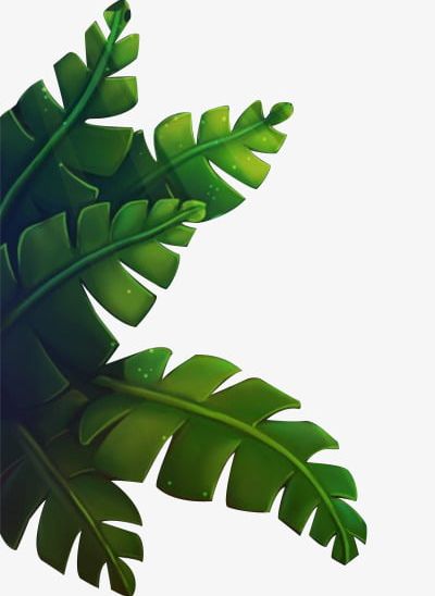 Green Banana Leaves PNG, Clipart, Banana, Banana Clipart, Banana Leaves, Creative, Green Free PNG Download