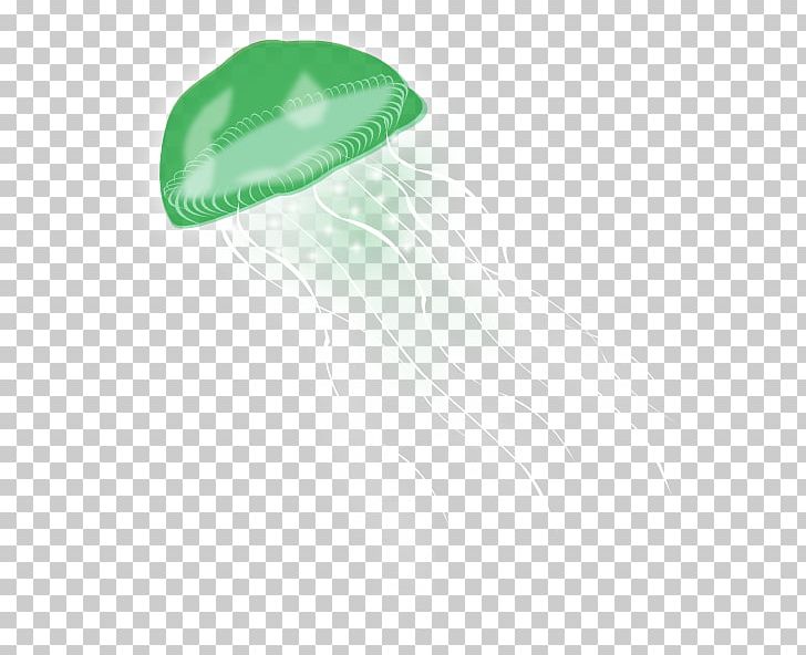 Jellyfish Sea PNG, Clipart, Animal, Computer Wallpaper, Desktop Wallpaper, Download, Green Free PNG Download