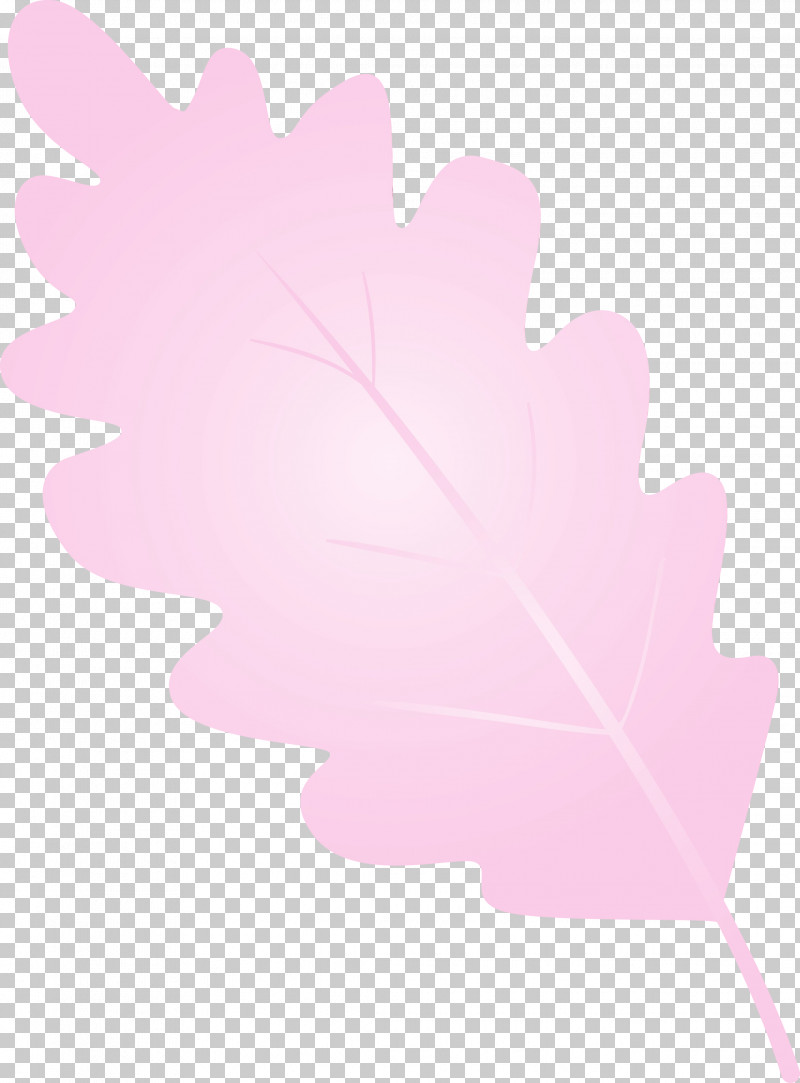 Maple Leaf PNG, Clipart, Flower, Leaf, Maple Leaf, Paint, Petal Free PNG Download