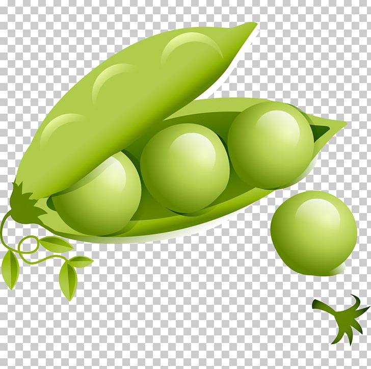 Common Bean Vegetable Lablab Food PNG, Clipart, Background Green, Bean,  Beans, Cartoon, Common Bean Free PNG