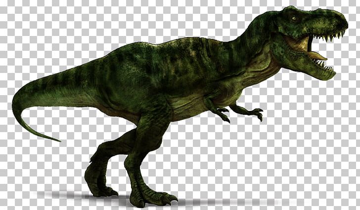 Velociraptor Spinosaurus Tyrannosaurus Rex Carnotaurus Triceratops PNG, Clipart, Carnosaur, Carnotaurus, Dinosaur, Fantasy, Indominus Rex Free PNG Download