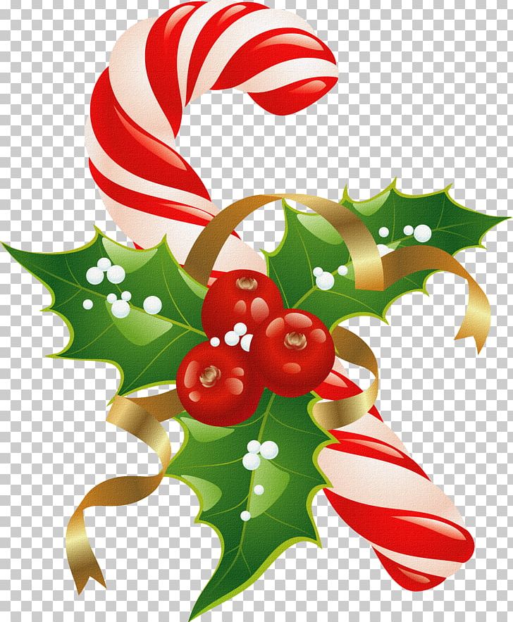 Christmas Decoration Bag PNG, Clipart, Aquifoliales, Bag, Bonbones, Christmas, Christmas And Holiday Season Free PNG Download