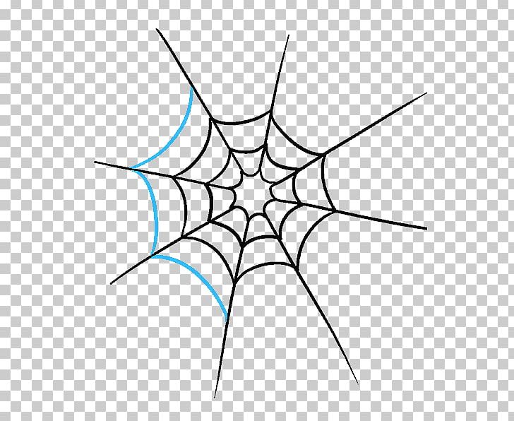 Spider Web Drawing Art Sketch PNG, Clipart, Angle, Arachnid, Area, Art, Artist Free PNG Download