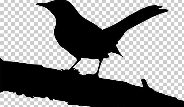 To Kill A Mockingbird Jem Finch Jean Louise 'Scout' Finch Silhouette PNG, Clipart,  Free PNG Download