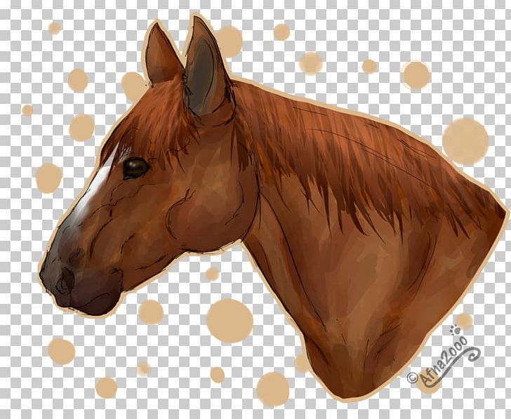 American Quarter Horse Stallion Pony Horse Head Mask Animation PNG, Clipart, American Quarter Horse, Animal, Animation, Bridle, Cartoon Free PNG Download